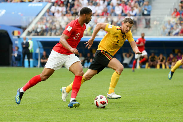 心的可能性 心的可能性